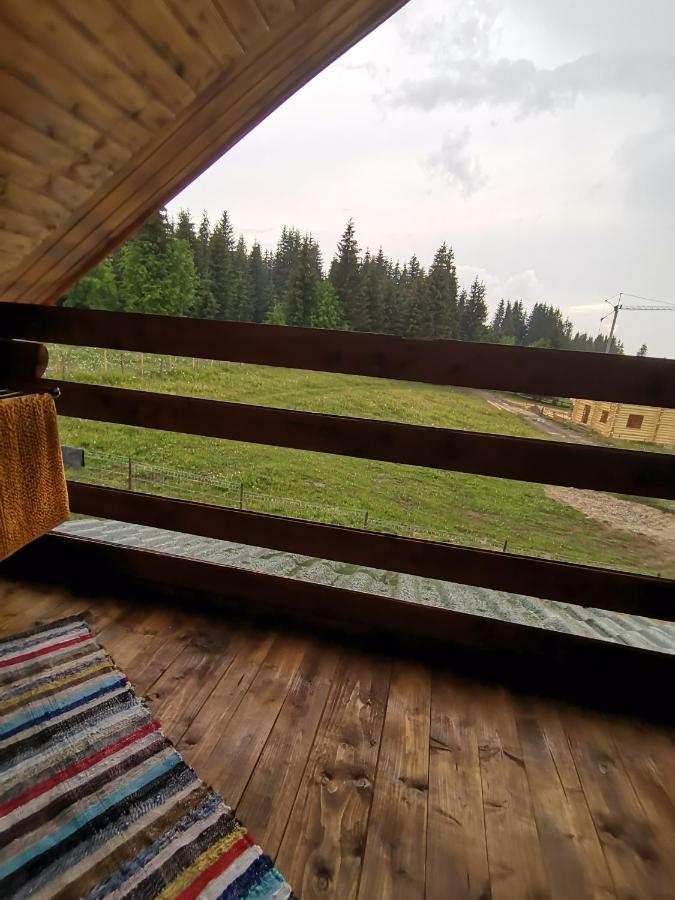 Holiday home Casuta De Munte