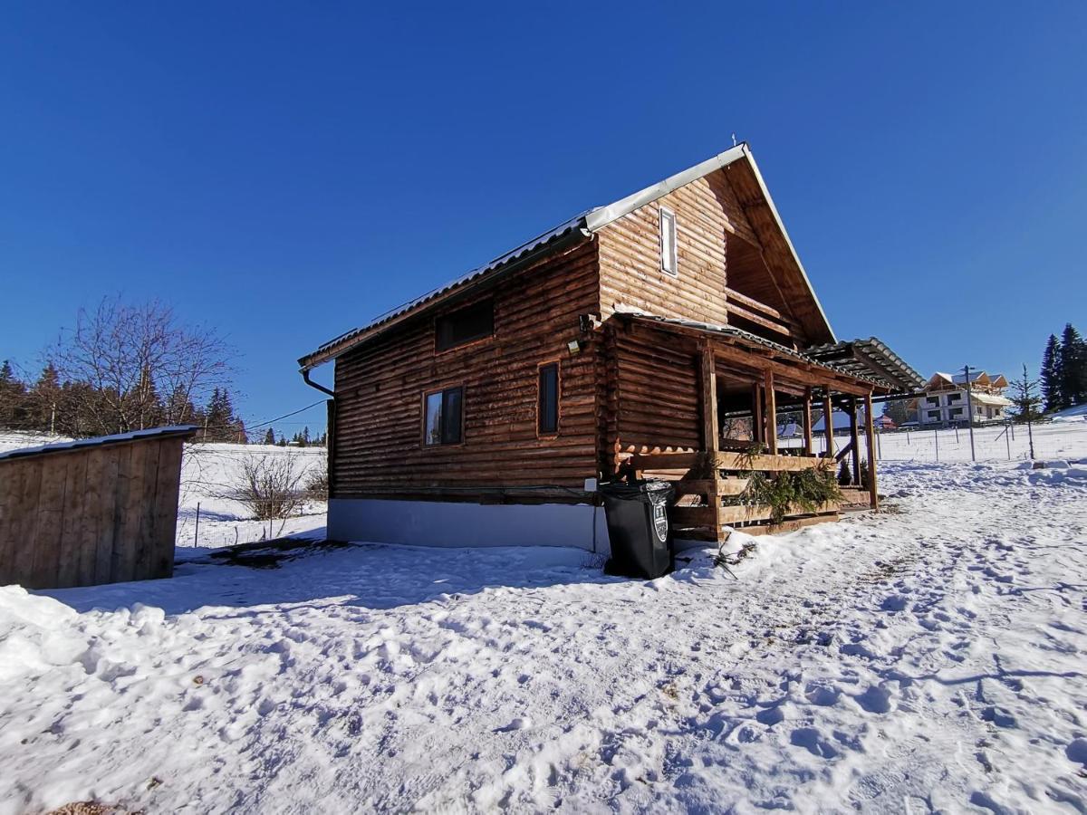 Holiday home Casuta De Munte Marisel