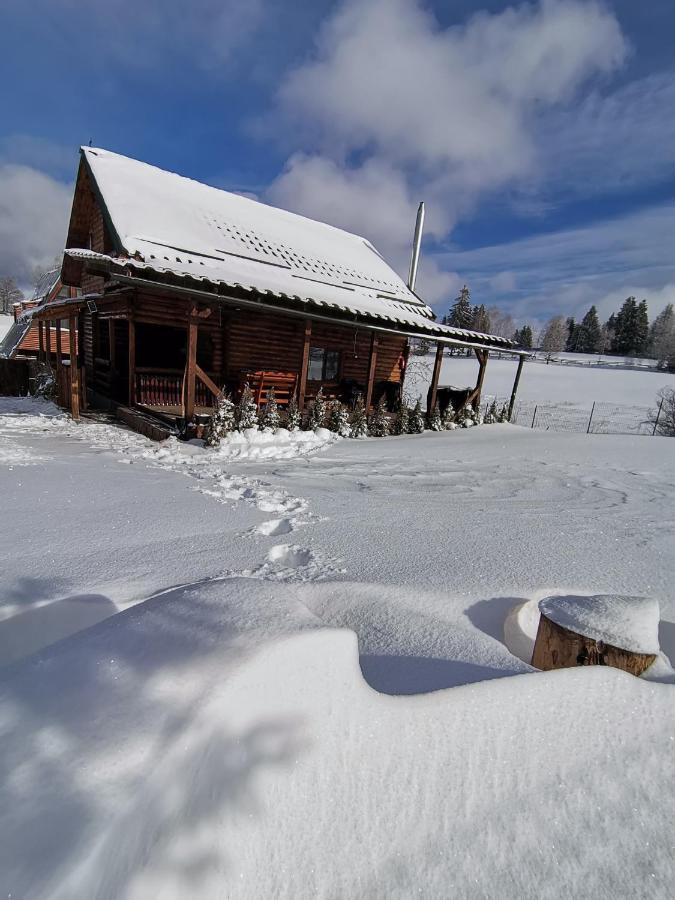 Holiday home Casuta De Munte