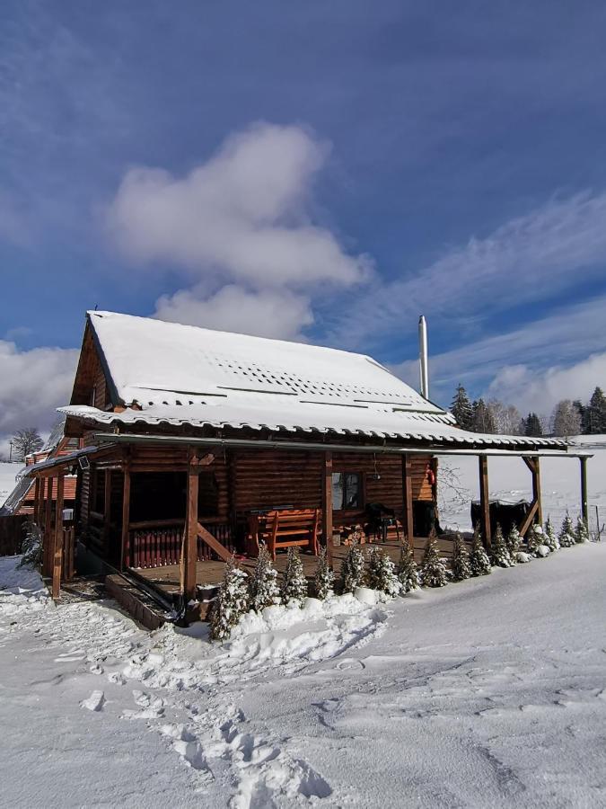 Casuta De Munte Holiday home *