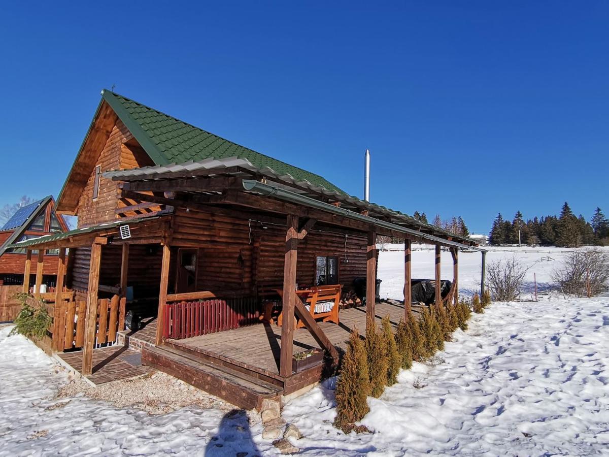 Holiday home Casuta De Munte