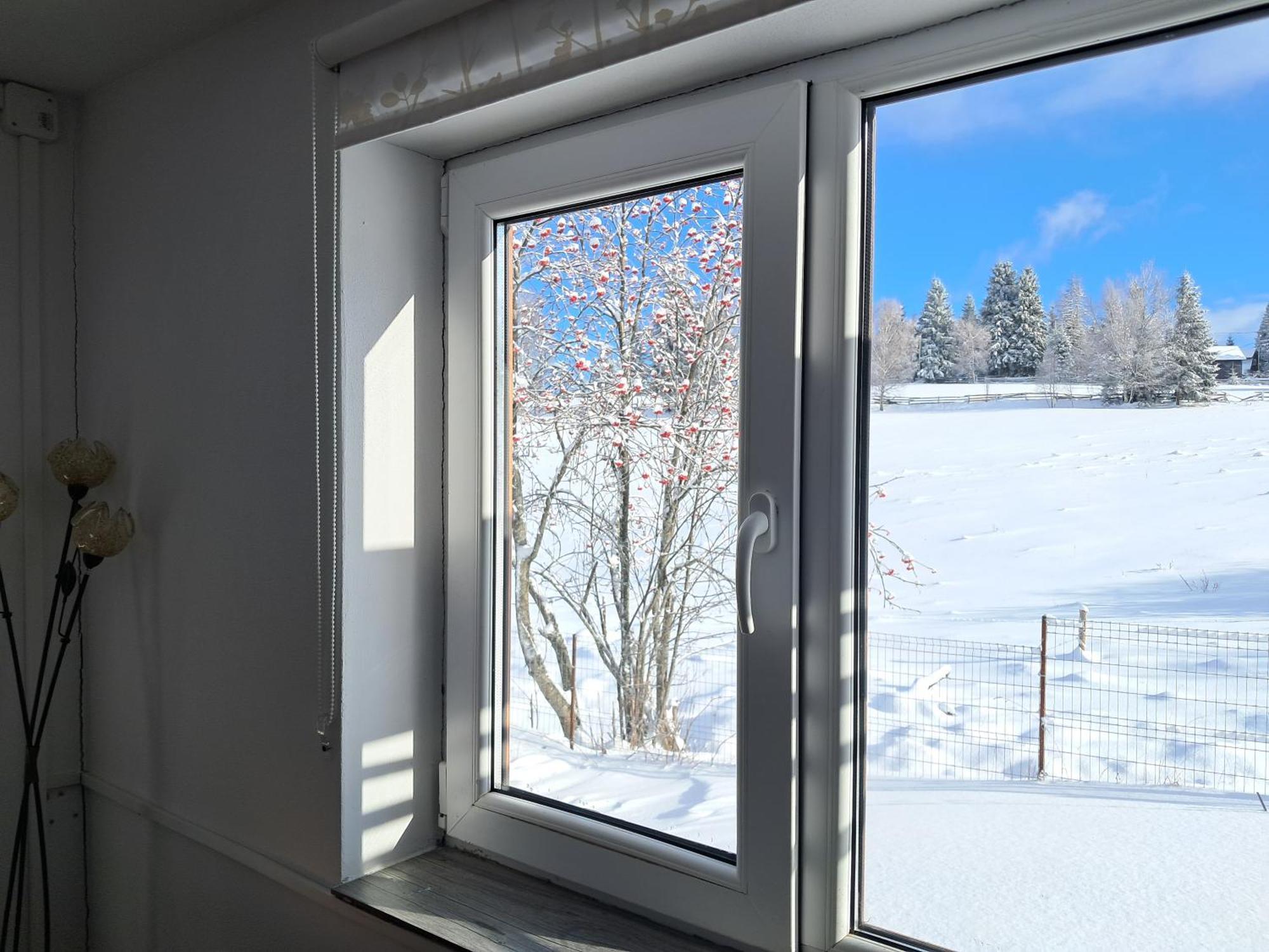 Casa vacanze Casuta De Munte *